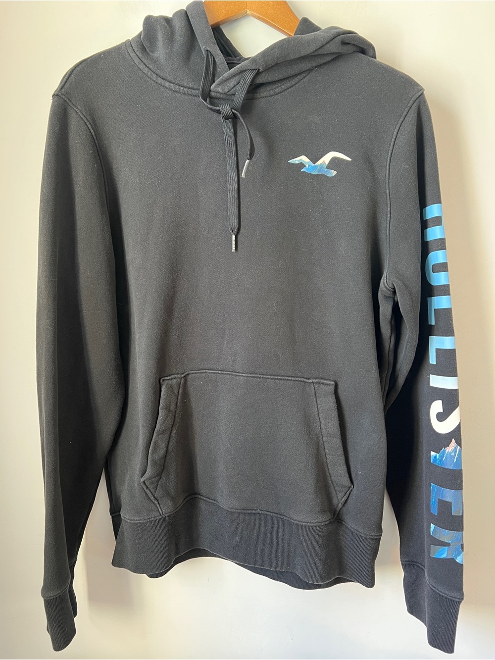 Hollister Black Hoodie with Blue Logo and Sleeve Script Sea Gull Medium